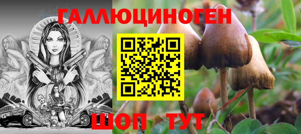 Галлюциногенные грибы прущие грибы Новошахтинск